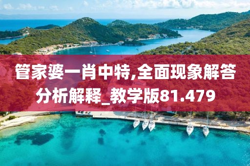 管家婆一肖中特,全面現(xiàn)象解答分析解釋_教學(xué)版81.479