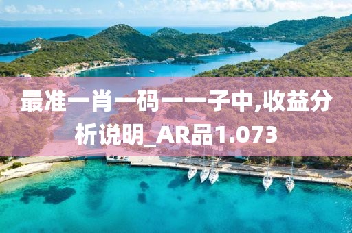 最準一肖一碼一一子中,收益分析說明_AR品1.073