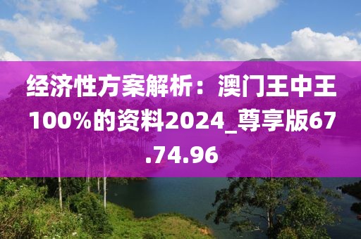 經(jīng)濟(jì)性方案解析：澳門王中王100%的資料2024_尊享版67.74.96