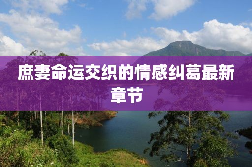 庶妻命運交織的情感糾葛最新章節(jié)