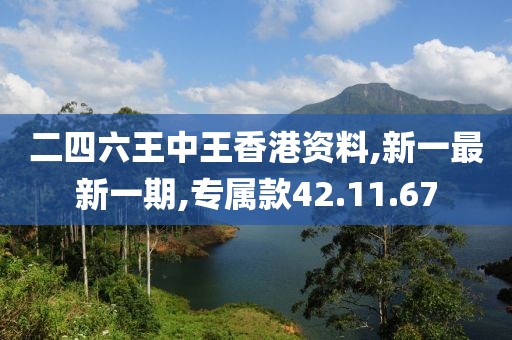 二四六王中王香港資料,新一最新一期,專屬款42.11.67