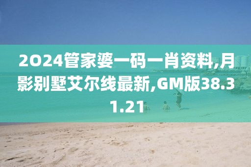 2O24管家婆一碼一肖資料,月影別墅艾爾線最新,GM版38.31.21