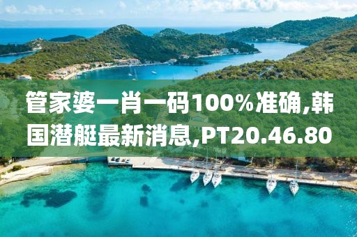 管家婆一肖一碼100%準確,韓國潛艇最新消息,PT20.46.80
