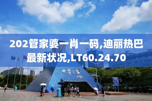 202管家婆一肖一碼,迪麗熱巴最新狀況,LT60.24.70