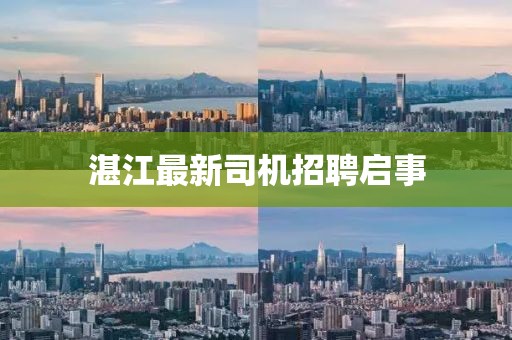 湛江最新司機(jī)招聘啟事