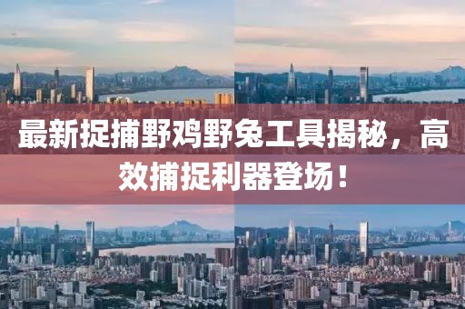 最新捉捕野雞野兔工具揭秘，高效捕捉利器登場(chǎng)！