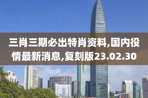 三肖三期必出特肖資料,國(guó)內(nèi)役情最新消息,復(fù)刻版23.02.30
