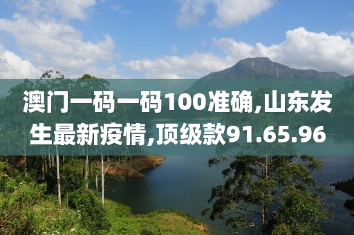 澳門一碼一碼100準確,山東發(fā)生最新疫情,頂級款91.65.96