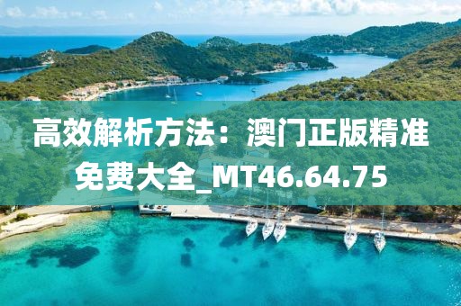 高效解析方法：澳門正版精準免費大全_MT46.64.75