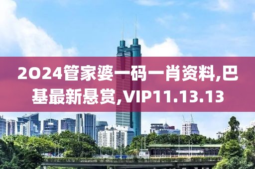 2O24管家婆一碼一肖資料,巴基最新懸賞,VIP11.13.13