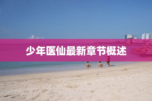 少年醫(yī)仙最新章節(jié)概述