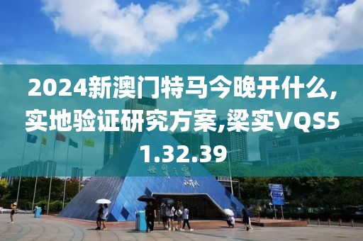 2024新澳門特馬今晚開什么,實地驗證研究方案,梁實VQS51.32.39