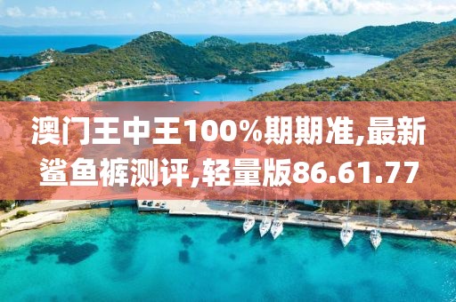 澳門(mén)王中王100%期期準(zhǔn),最新鯊魚(yú)褲測(cè)評(píng),輕量版86.61.77