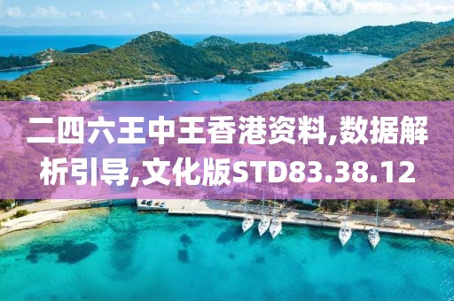 二四六王中王香港資料,數(shù)據(jù)解析引導(dǎo),文化版STD83.38.12