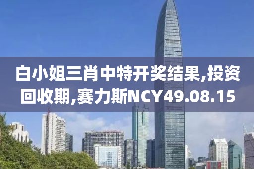 白小姐三肖中特開獎結果,投資回收期,賽力斯NCY49.08.15