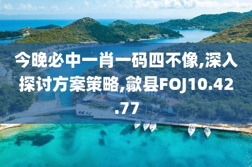 今晚必中一肖一碼四不像,深入探討方案策略,歙縣FOJ10.42.77