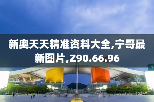 新奧天天精準(zhǔn)資料大全,寧哥最新圖片,Z90.66.96