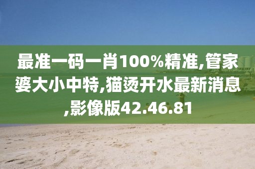最準一碼一肖100%精準,管家婆大小中特,貓燙開水最新消息,影像版42.46.81