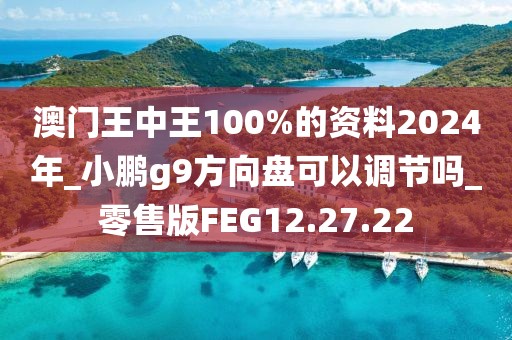 澳門王中王100%的資料2024年_小鵬g9方向盤可以調(diào)節(jié)嗎_零售版FEG12.27.22
