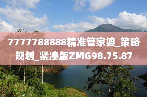 7777788888精準(zhǔn)管家婆_策略規(guī)劃_緊湊版ZMG98.75.87