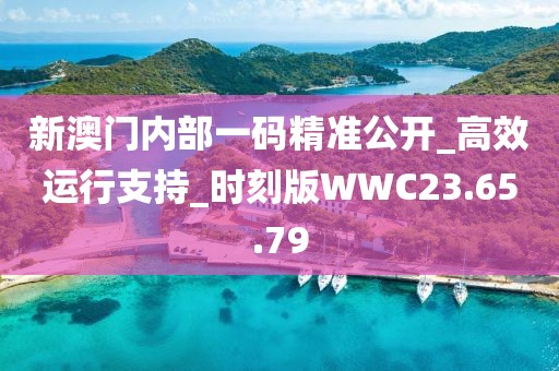 新澳門內部一碼精準公開_高效運行支持_時刻版WWC23.65.79