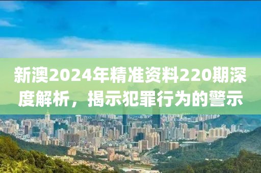 新澳2024年精準(zhǔn)資料220期深度解析，揭示犯罪行為的警示