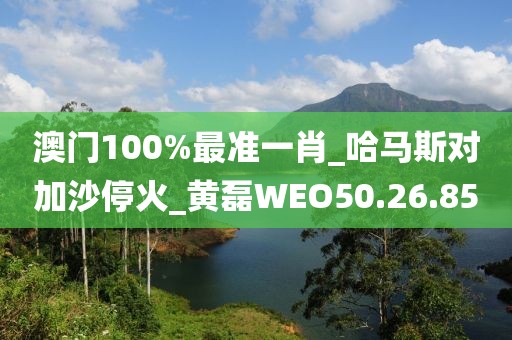澳門100%最準(zhǔn)一肖_哈馬斯對(duì)加沙?；餩黃磊WEO50.26.85