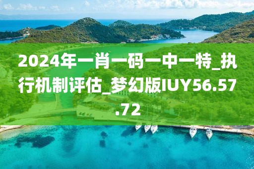 2024年一肖一碼一中一特_執(zhí)行機(jī)制評估_夢幻版IUY56.57.72