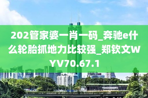 202管家婆一肖一碼_奔馳e什么輪胎抓地力比較強_鄭欽文WYV70.67.1