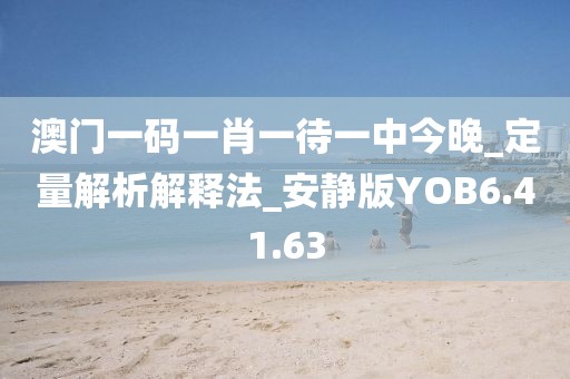 澳門一碼一肖一待一中今晚_定量解析解釋法_安靜版YOB6.41.63