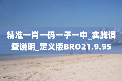 精準(zhǔn)一肖一碼一子一中_實(shí)踐調(diào)查說明_定義版BRO21.9.95