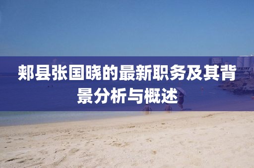 郟縣張國曉的最新職務及其背景分析與概述