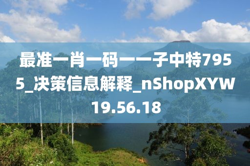 最準(zhǔn)一肖一碼一一子中特7955_決策信息解釋_nShopXYW19.56.18