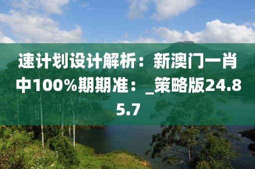 速計(jì)劃設(shè)計(jì)解析：新澳門一肖中100%期期準(zhǔn)：_策略版24.85.7