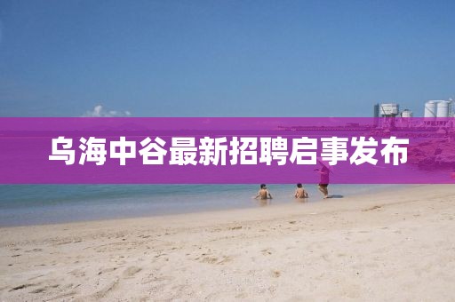 烏海中谷最新招聘啟事發(fā)布