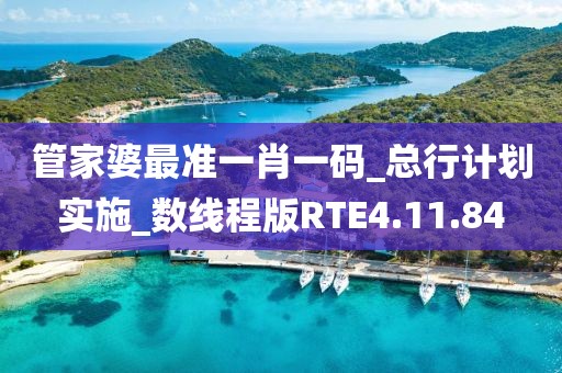 管家婆最準一肖一碼_總行計劃實施_數(shù)線程版RTE4.11.84