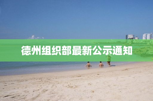 德州組織部最新公示通知