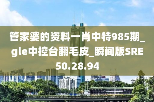 管家婆的資料一肖中特985期_gle中控臺翻毛皮_瞬間版SRE50.28.94