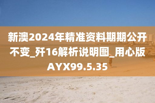 新澳2024年精準資料期期公開不變_殲16解析說明圖_用心版AYX99.5.35