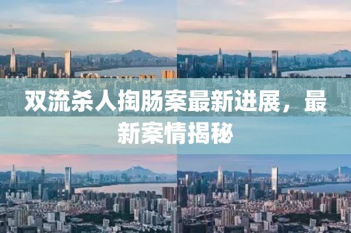 雙流殺人掏腸案最新進展，最新案情揭秘