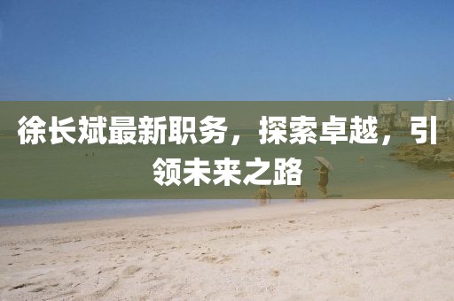 徐長(zhǎng)斌最新職務(wù)，探索卓越，引領(lǐng)未來(lái)之路