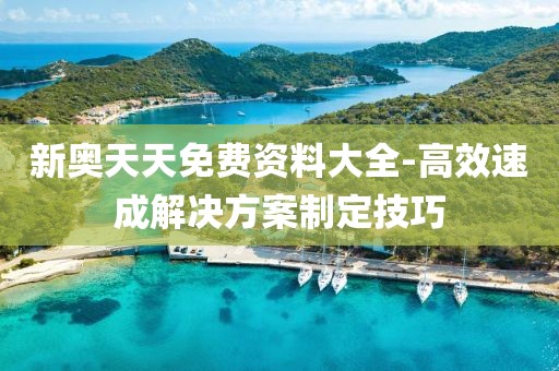 新奧天天免費資料大全-高效速成解決方案制定技巧