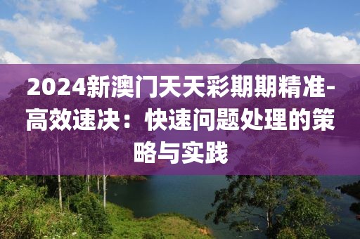 2024新澳門天天彩期期精準(zhǔn)-高效速決：快速問題處理的策略與實(shí)踐