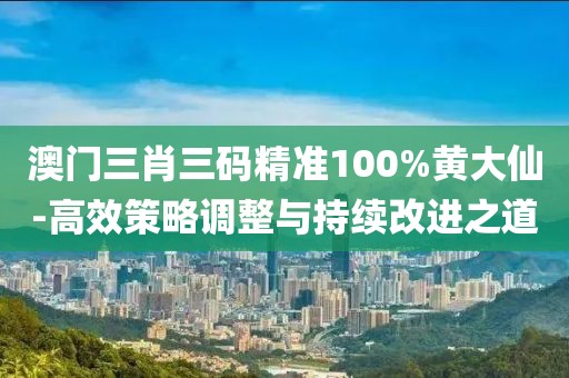 澳門三肖三碼精準(zhǔn)100%黃大仙-高效策略調(diào)整與持續(xù)改進(jìn)之道