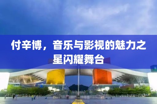 付辛博，音樂與影視的魅力之星閃耀舞臺(tái)