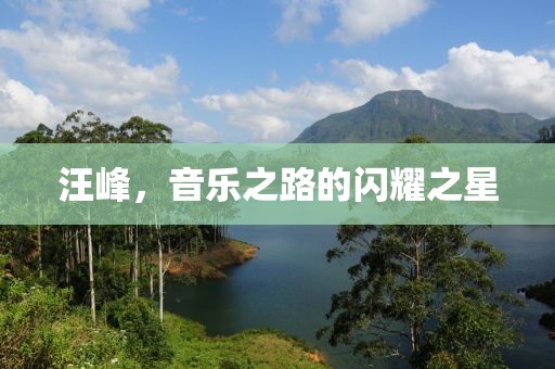 汪峰，音樂(lè)之路的閃耀之星