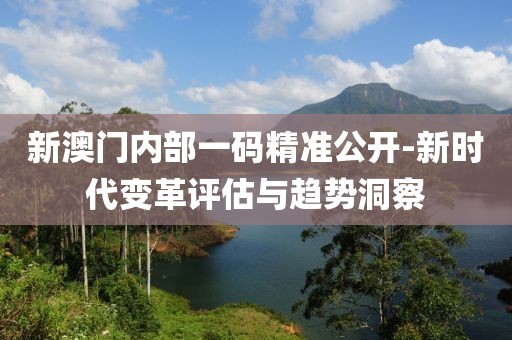 新澳門內部一碼精準公開-新時代變革評估與趨勢洞察