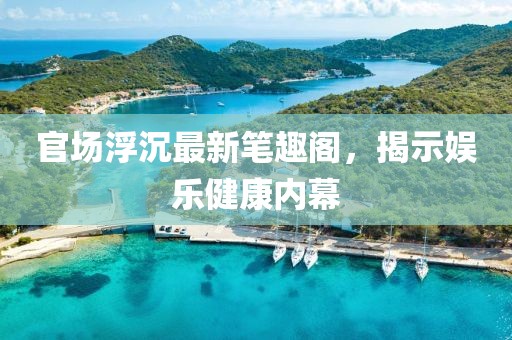 官場(chǎng)浮沉最新筆趣閣，揭示娛樂(lè)健康內(nèi)幕