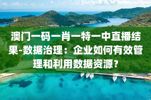 澳門(mén)一碼一肖一特一中直播結(jié)果-數(shù)據(jù)治理：企業(yè)如何有效管理和利用數(shù)據(jù)資源？