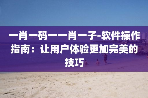 一肖一碼一一肖一子-軟件操作指南：讓用戶體驗(yàn)更加完美的技巧